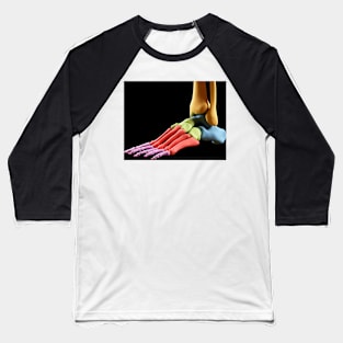 Human foot anatomy, illustration (F011/5689) Baseball T-Shirt